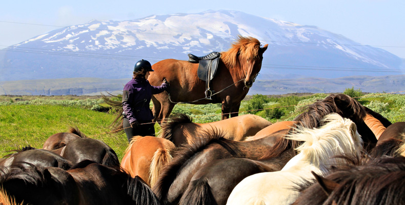 E04 Islande 3.jpg